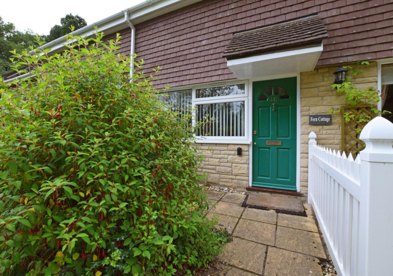 Fern Cottage Charmouth Exteriér fotografie
